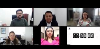 Realiza IEEH ponencia Virtual sobre pueblos y comunidades indígenas en el presupuesto público