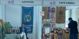 Imparten talleres especializados, promueven negocios y ofertan productos del campo hidalguense en Expo Café