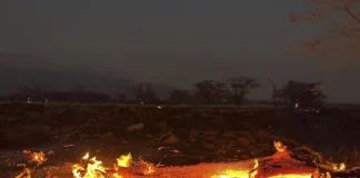 México ofrece ayuda a connacionales varados por incendios en Hawái