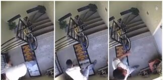 Sujeto agrede y lanza a perrito desde un tercer piso, en Puebla