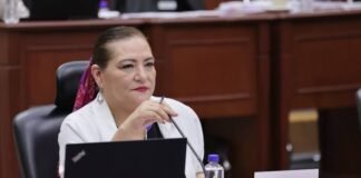 Novedades en el INE; Guadalupe Taddei sale en defensa del presupuesto