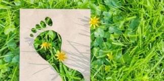 Reducir la huella ambiental no siempre sacrificará la calidad, aseguran expertos