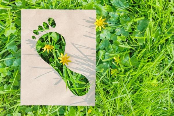 Reducir la huella ambiental no siempre sacrificará la calidad, aseguran expertos