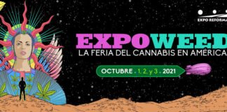 Expoweed, en pro al avance de la industria cannábica en México