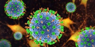 Encienden Alerta por Nipah, un virus de alta mortalidad