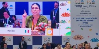 Paridad, una garantía constitucional: Marcela Guerra