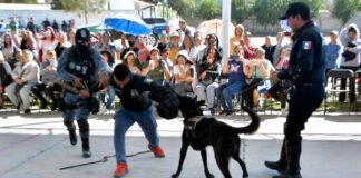 Unidad Canina de Seguridad Publica de Tulancingo cumple 20 años