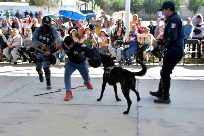 Unidad Canina SP
