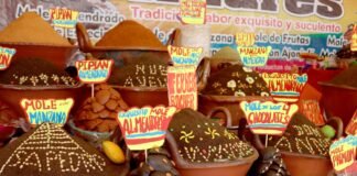 Tradición, naturaleza y gastronomía: qué hacer en la Ciudad de México