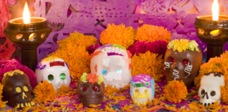 Sección XV del SNTE alista su festival del Día de Muertos en Tula