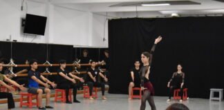 ‘El lago de los cisnes’ y ‘Carmen’ en el Teatro del Bosque Julio Castillo