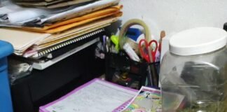 Aseguran invernadero con cultivo de mariguana en Mineral del Reforma