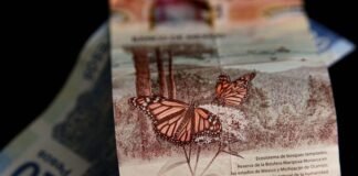 Economía mexicana creció 3.5% anual en agosto, revela el IGAE