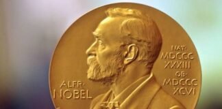 Qué temáticas involucraron los Premios Nobel de la Paz de la década reciente
