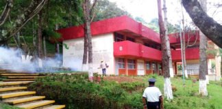 SSH mantiene medidas preventivas ante casos de dengue