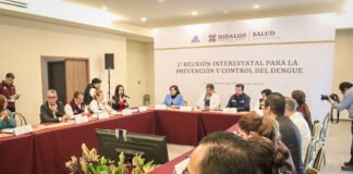 SSH convoca a estados del centro del país para combate al dengue