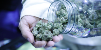 Novedades 2023 de la expo cannábica Weed Trade Show en la Ciudad de México expo cannábica Weed Trade Show en la Ciudad de México