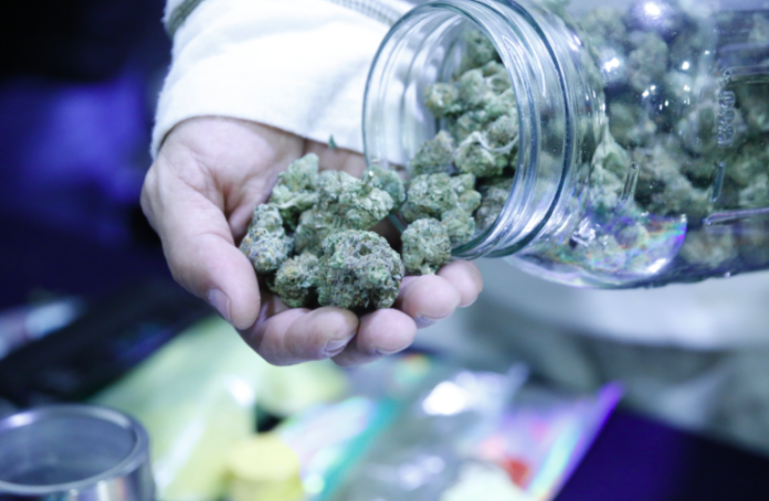 expo cannábica Weed Trade Show en la Ciudad de México