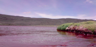 TikTok confunde a usuarios: video de río Nilo teñido de rojo en realidad es Chile