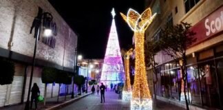 Tulancingo invita a su espectacular encendido de árbol navideño