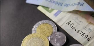 Endeudamiento superará la inversión pública en el presupuesto de 2024: CEESP