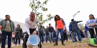 Alcaldía de Pachuca y Tec de Monterrey siembran 200 árboles