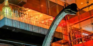 Arte y dinosaurios se apoderan de las actividades para fin de semana en CDMX