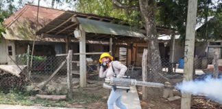 Segunda Jornada Nacional de Lucha contra el Dengue