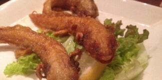 Ajolotes fritos, platillo de restaurante japonés indigna y genera controversia en redes