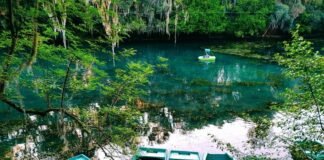 Festival Gastronómico y Cultural de la Trucha en Huasca