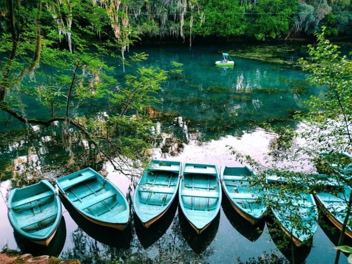 bosque-de-las-truchas-hidalgo