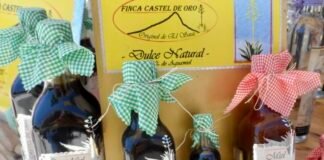 Destilados del Valle del Mezquital se posicionan a nivel nacional