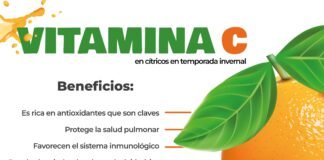 Recomienda IMSS Hidalgo consumir Cítricos en temporada invernal