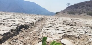 Hidalgo en sus niveles más altos de sequía: Conagua