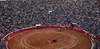 De nuevo suspenden las corridas de toros en la Plaza México