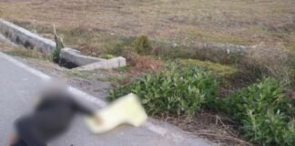 Hallan cuerpo de mujer trans en Ixmiquilpan