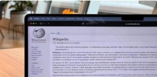 Día de Wikipedia: esto fue lo más buscado durante 2023