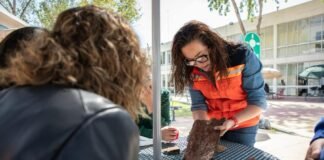 Derribarán la mitad de arbolado del Parque Luis Pasteur de Pachuca