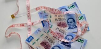 Elecciones 2024: el CEESP anticipa desaceleración económica ante el clima electoral