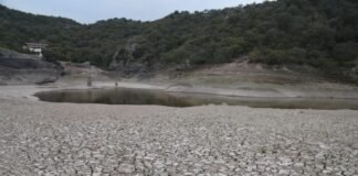 Alerta CAASIM que las presas Jaramillo y Estanzuela están secas