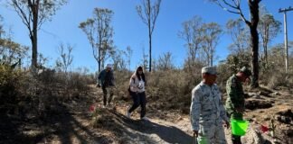 Ayuntamiento de Pachuca, planta 11 mil árboles en menos de 3 años