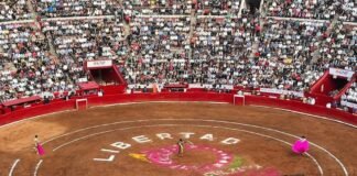Tensión en el Tribunal: Pese a suspensión, habrá corridas de toros en la Plaza México