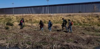 ‘Coyotes’ cobran hasta 12 mil dólares por migrante