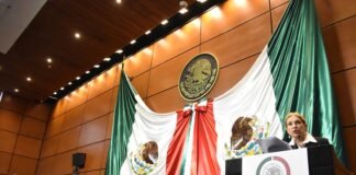 Cámara de Diputados: En el país, hay 17 millones de personas con diversidad auditiva