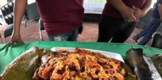 Tercer Festival de la Mojarra en Alfajayucan ¡Hoy!