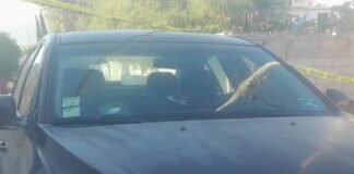 Reportan a un hombre herido en Francisco I. Madero