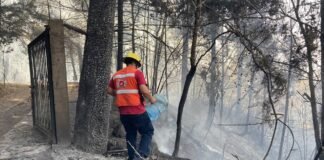 Azotan incendios forestales en 5 municipios de Hidalgo