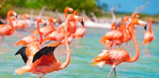 Refréscate en YUCATÁN estas vacaciones de semana santa