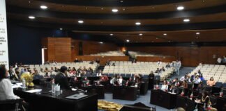 Aprueba Congreso local regulación de crematorios para animales