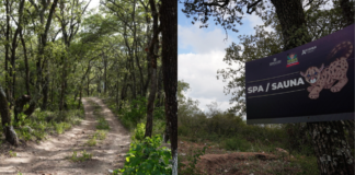 La naturaleza de Actopan en el Parque Ecoturístico «El Puma”